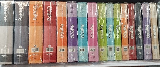 کلر بوک 80 برگ پاپکو